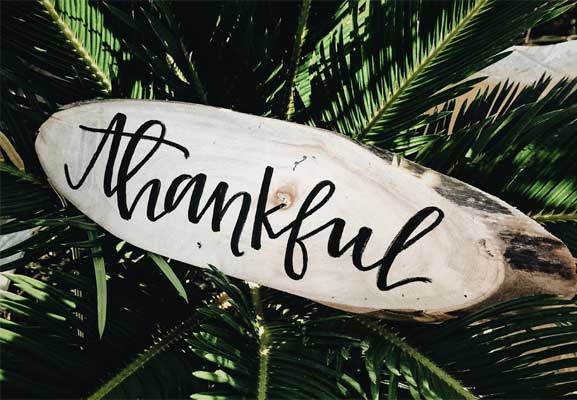 Client Testimonials for ContentWriter.in